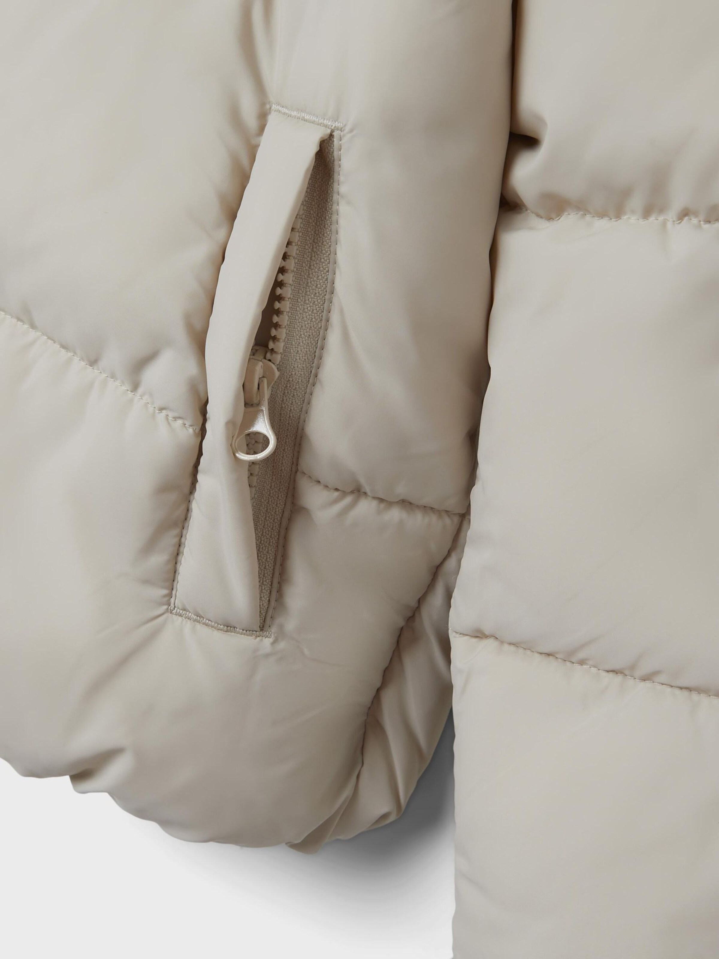 Winter Jacket