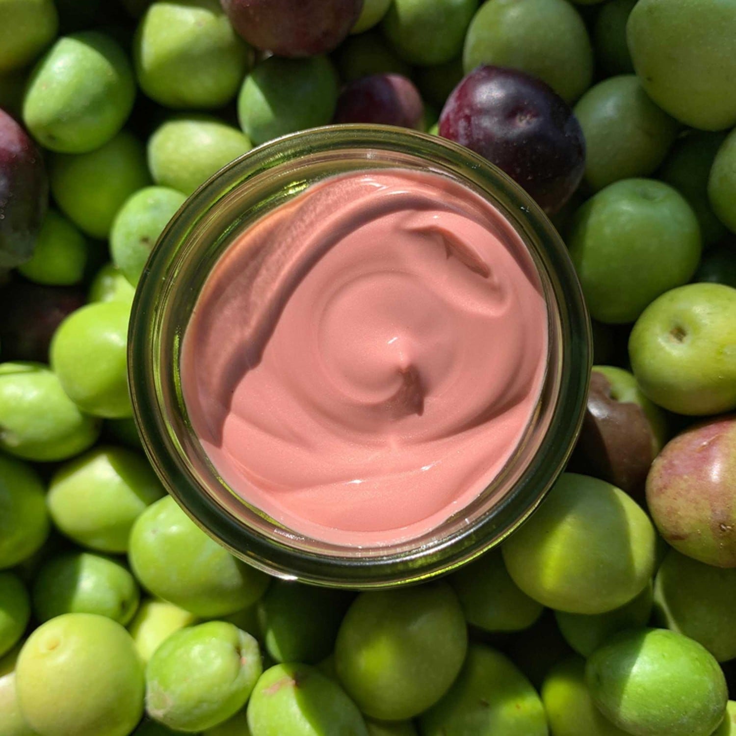 La Provençale Organiczny krem nawilżający przeciwstarzeniowy