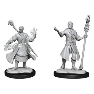 D&D Nolzur's Marvelous Miniatures - Half-Elf Wizard Male (2)