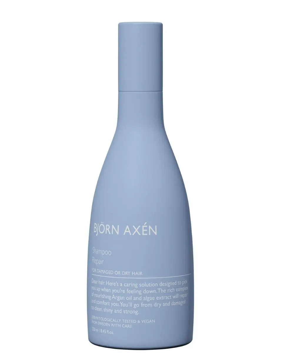 Bjorn Axen regenerator za oštećenu kosu