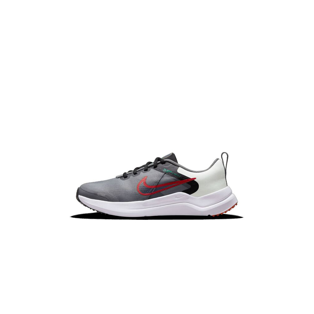 Nike Downshifter 12 DM4194-007 / grau