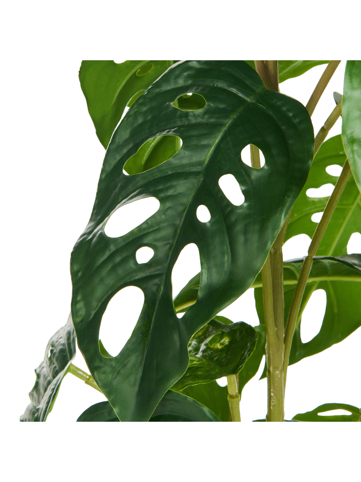 Beliani Kunstpflanze MONSTERA ADANSONII in Grün/Schwarz - (W) 27 x (H) 53 x (L) 27 cm günstig kaufen onesize