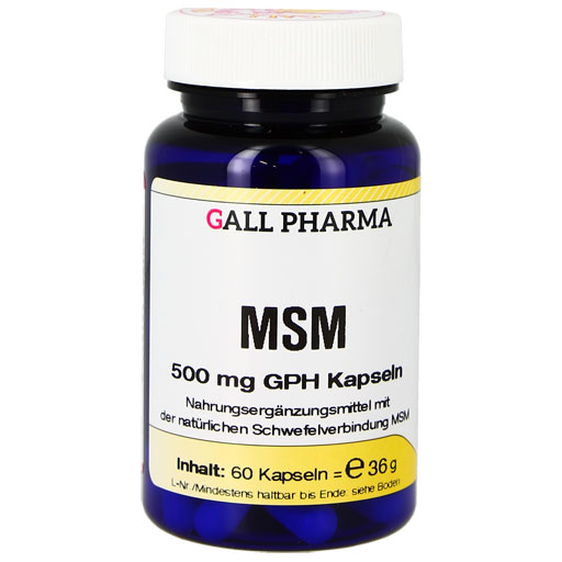 MSM 500 mg GPH Kapseln  60 St  Kapseln