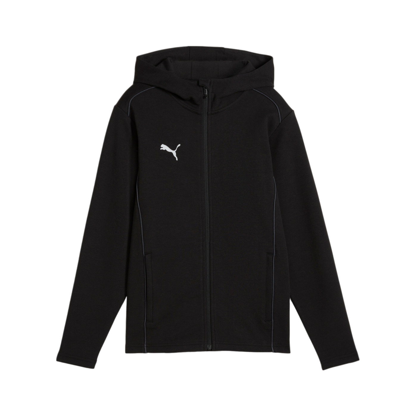 PUMA teamFINAL Casuals Kapuzenjacke Kids F03