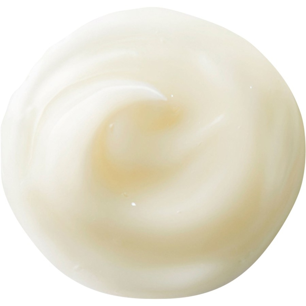Shiseido NutriPerfect Eye soin des yeux