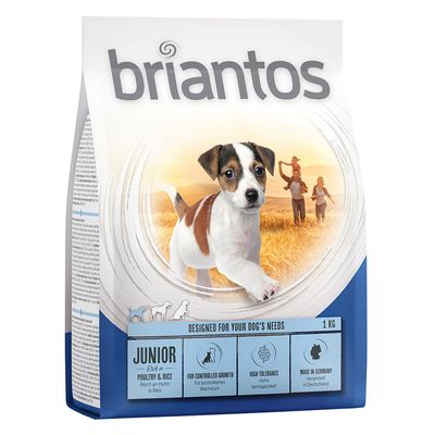 Briantos Junior