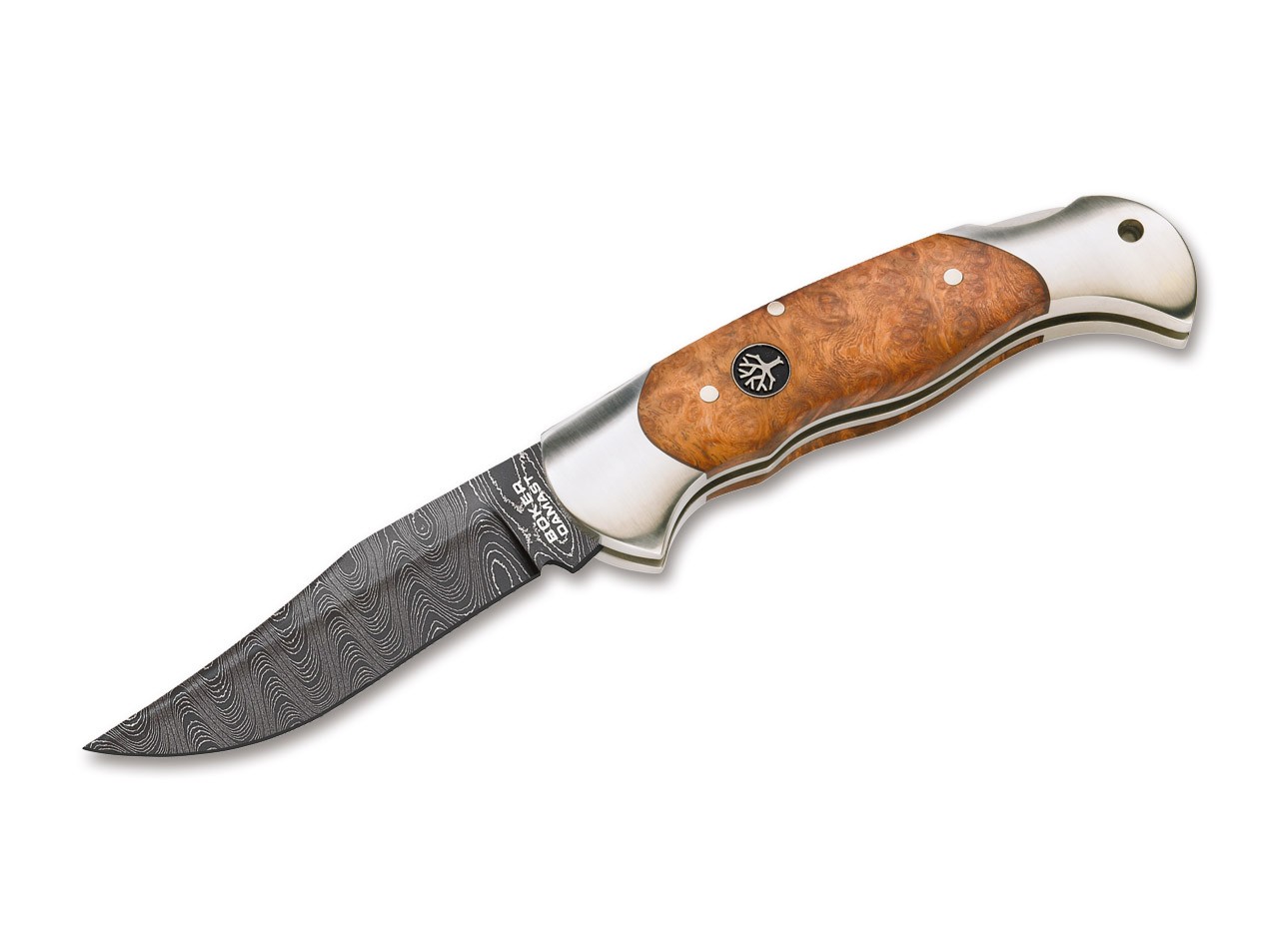 Scout Amboina Damast