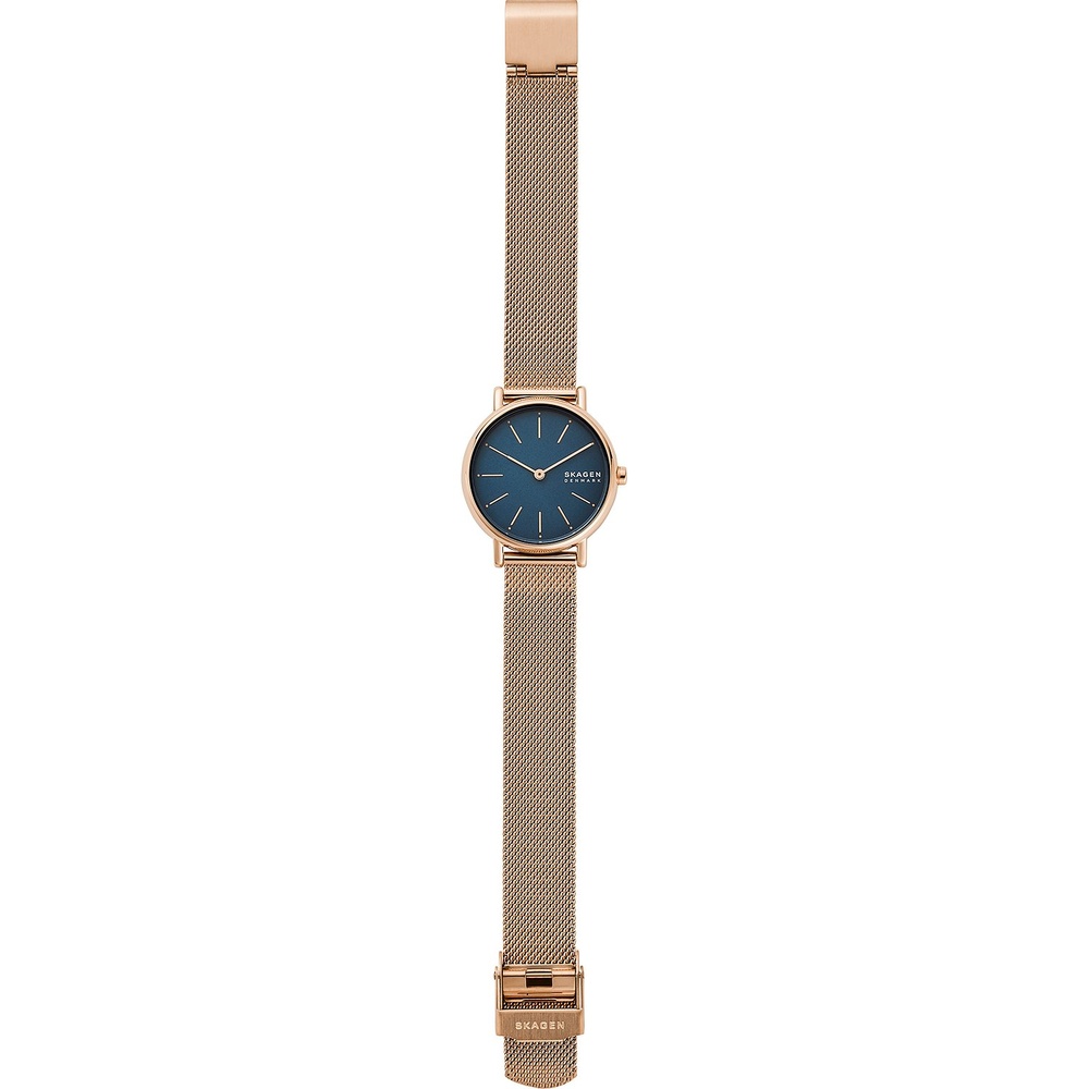 Skagen Montre pour femme Acier inoxydable Montre
