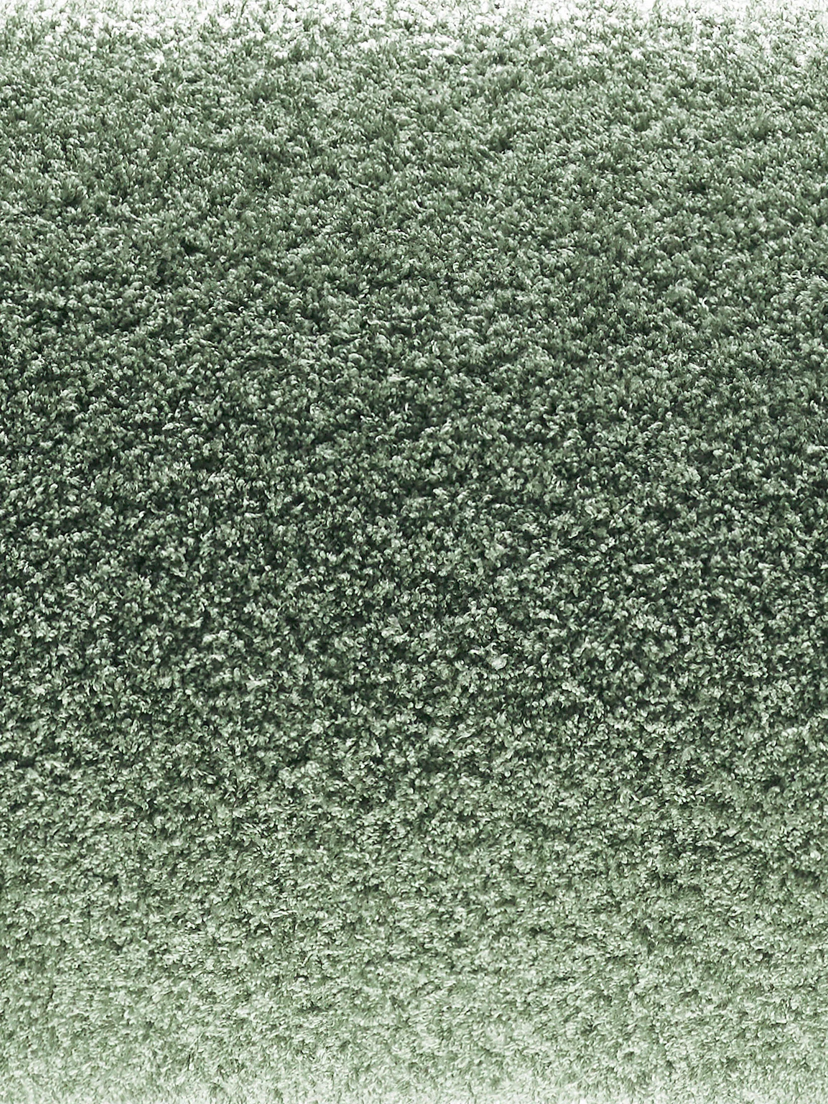 Tenderness Hochflor-Teppich, Sand