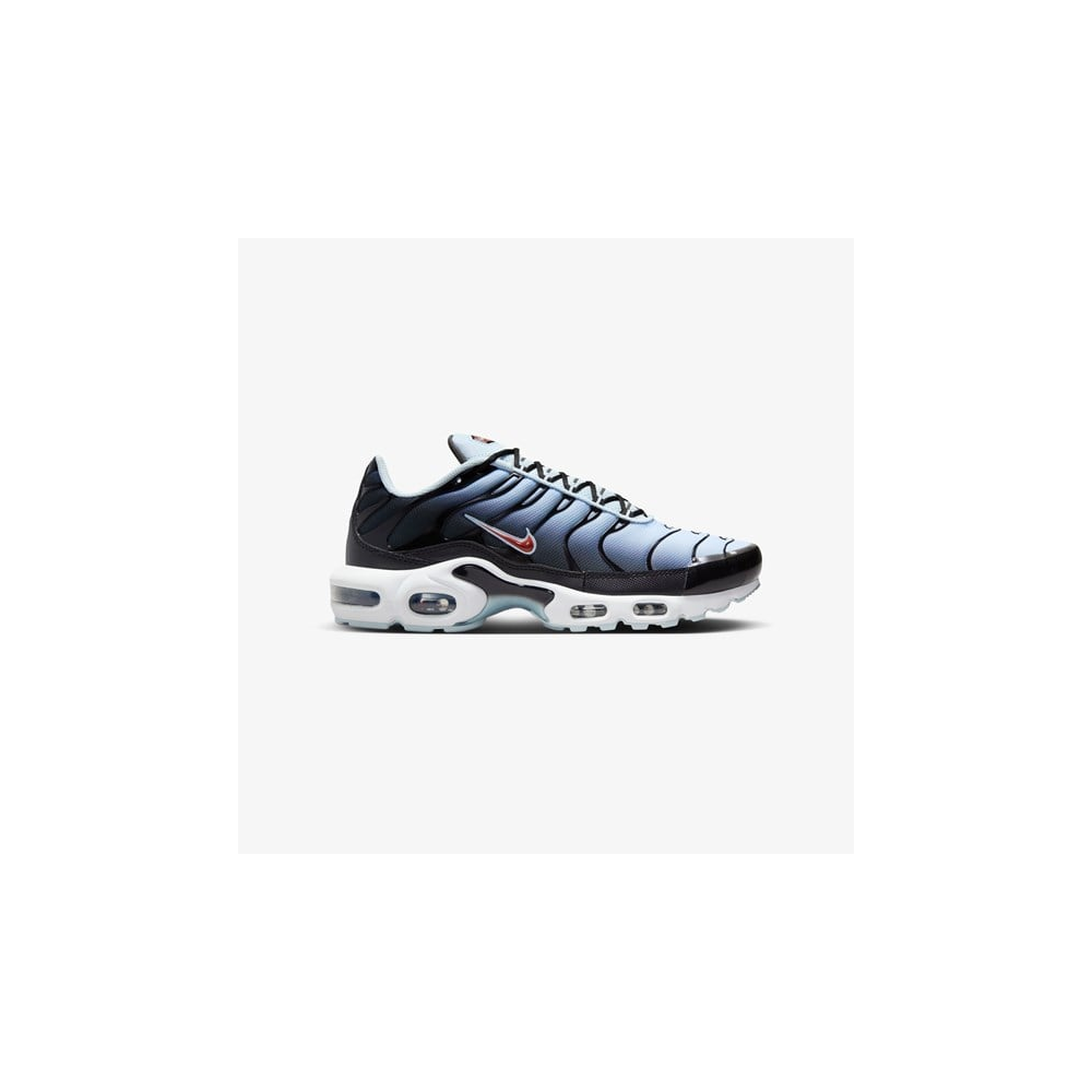 Nike Air Max Plus DM0032-008 / schwarz
