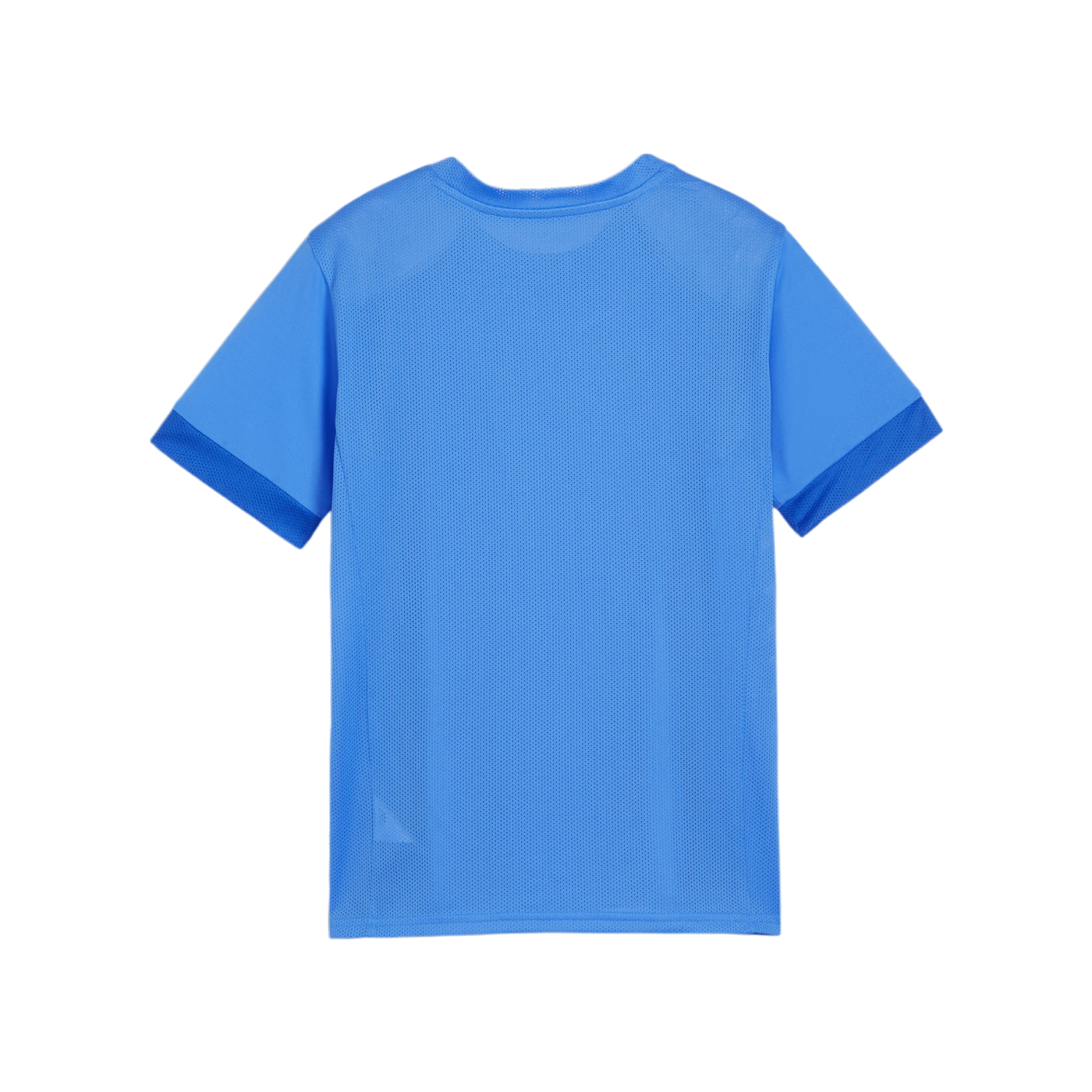 PUMA teamGOAL Matchday Trikot Kids Blau Weiss F02