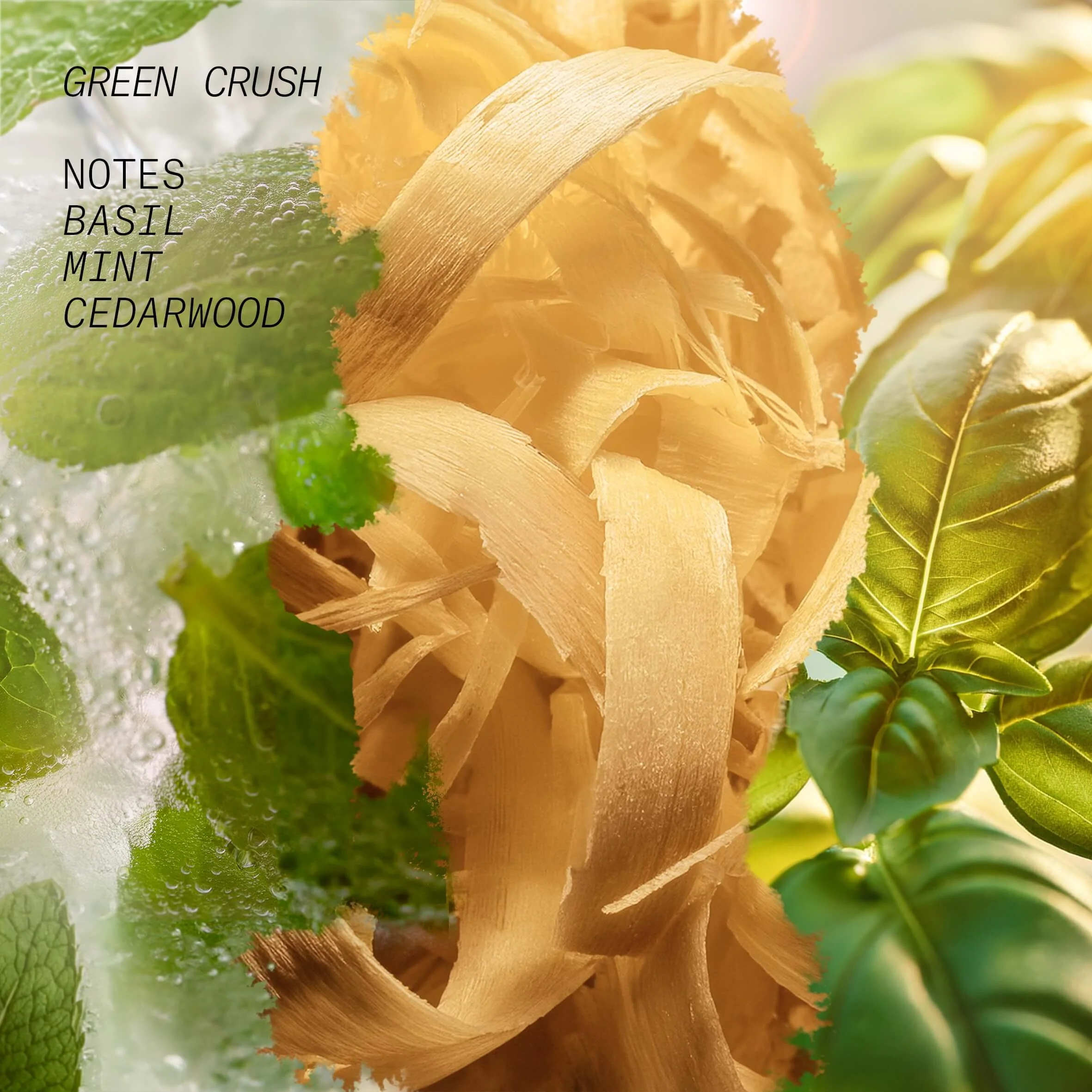 Maglica za kosu i tijelo Green Crush - Aromatična voda