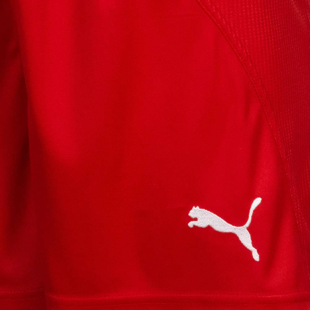DHF Dänemark PUMA Damen Handball Shorts 739217-02