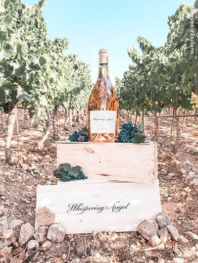 Caves d'Esclans : Whispering Angel 2022