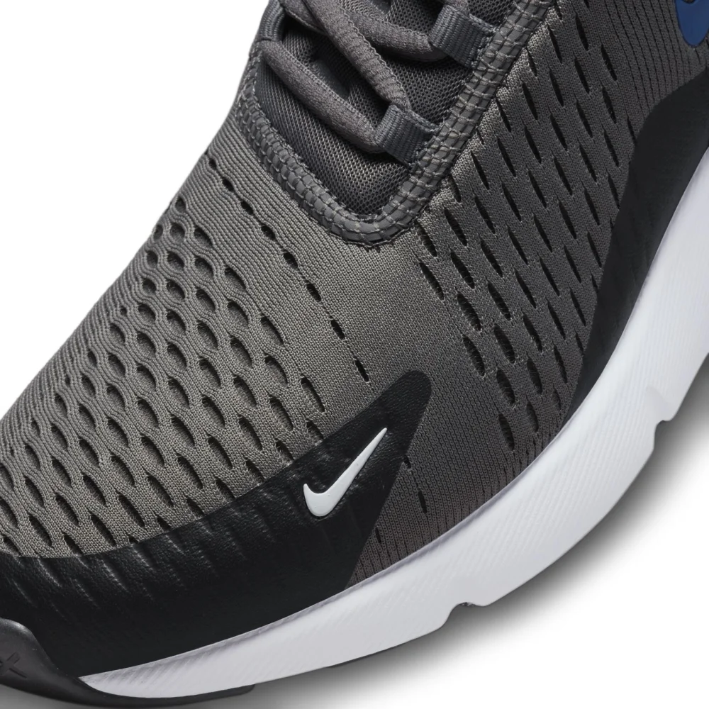 Nike Air Max 270 DV6494-001 / grau