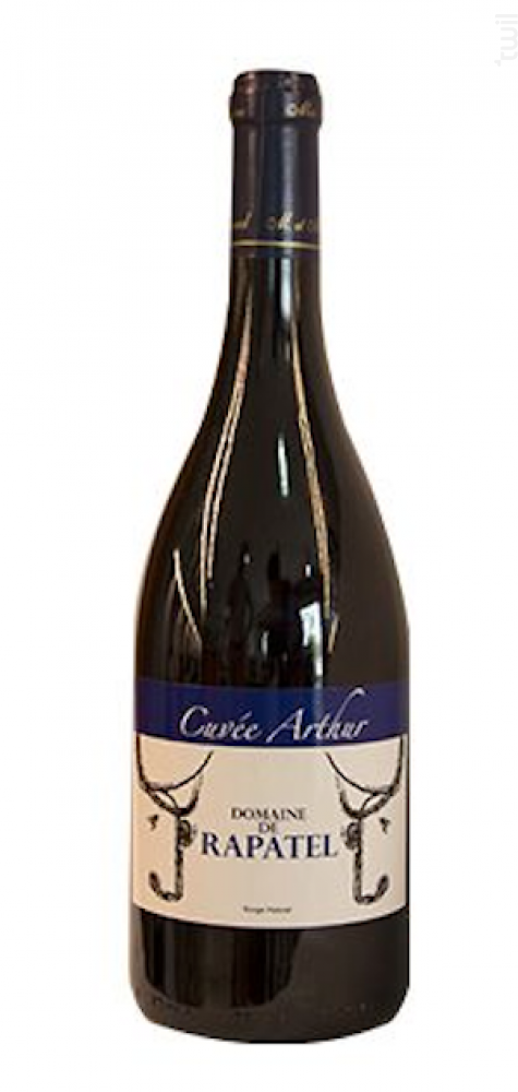 Cuvée Arthur Domaine de Rapatel Vin Rouge●Vin de France (Rhône) 2009 75cl