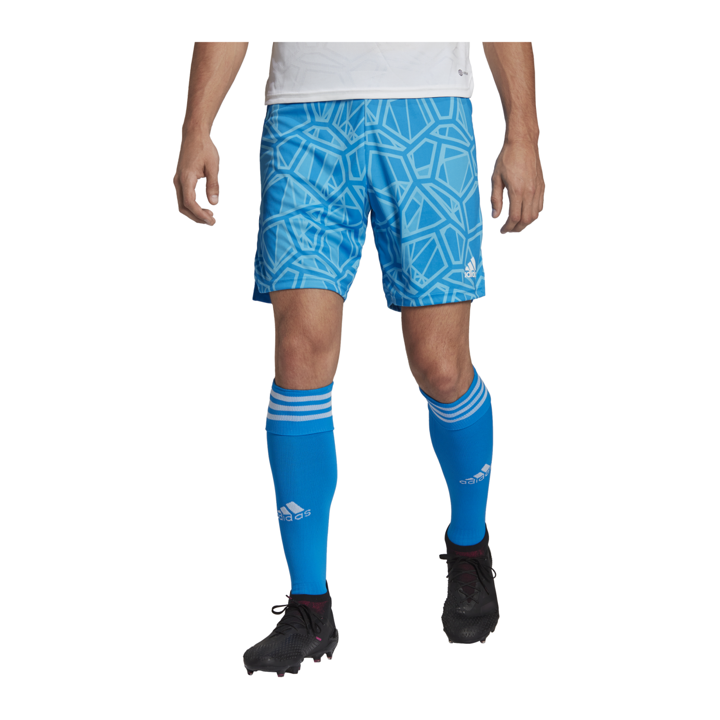 adidas Condivo 22 Torwartshort Blau