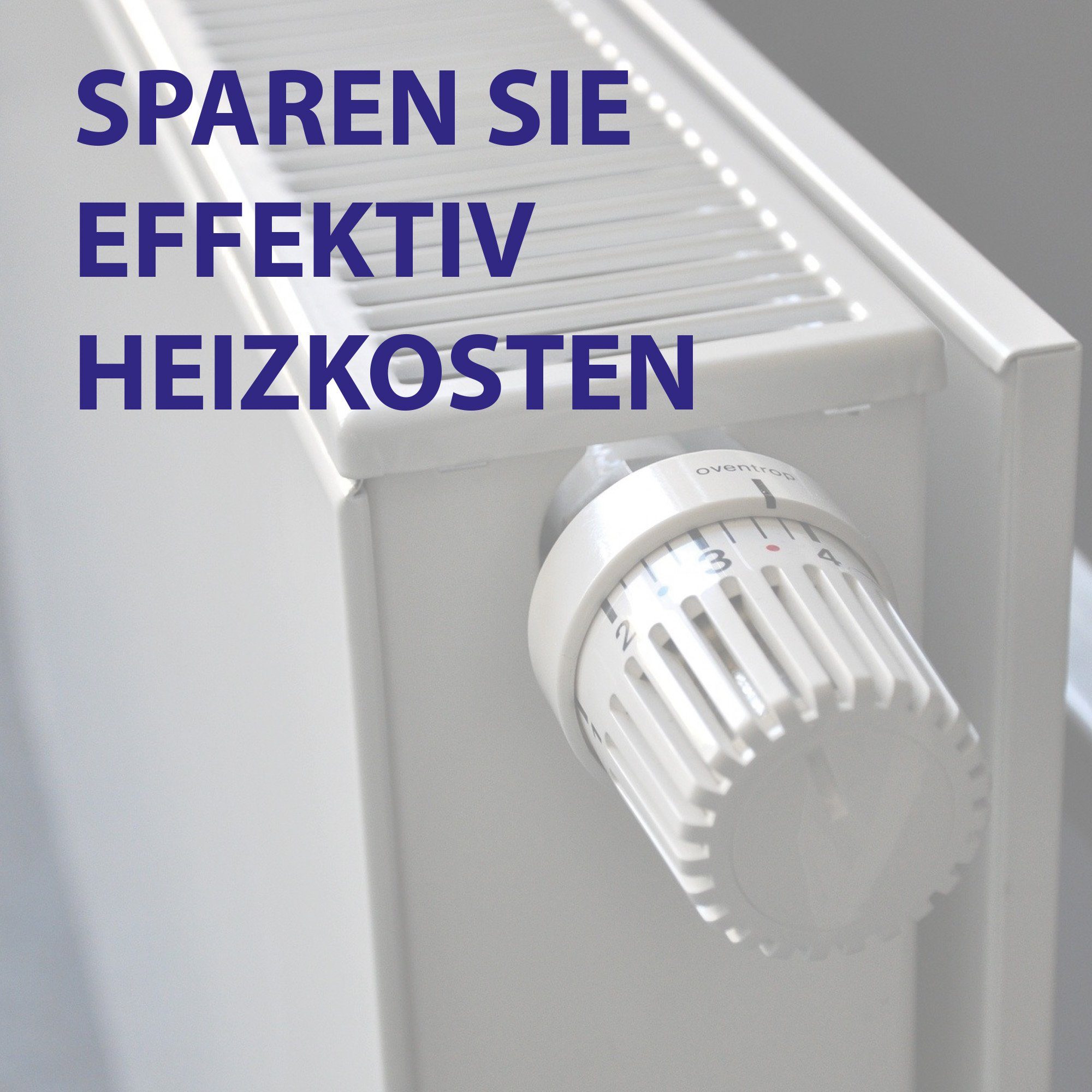 Bestlivings Steckschlüssel Heizkörper-Entlüftungsschlüssel (2 St), Heizungs-Entlüftungsschlüssel Radiatorenschlüssel - langlebig, robust und stabil - Heizkörperschlüssel zum entlüften