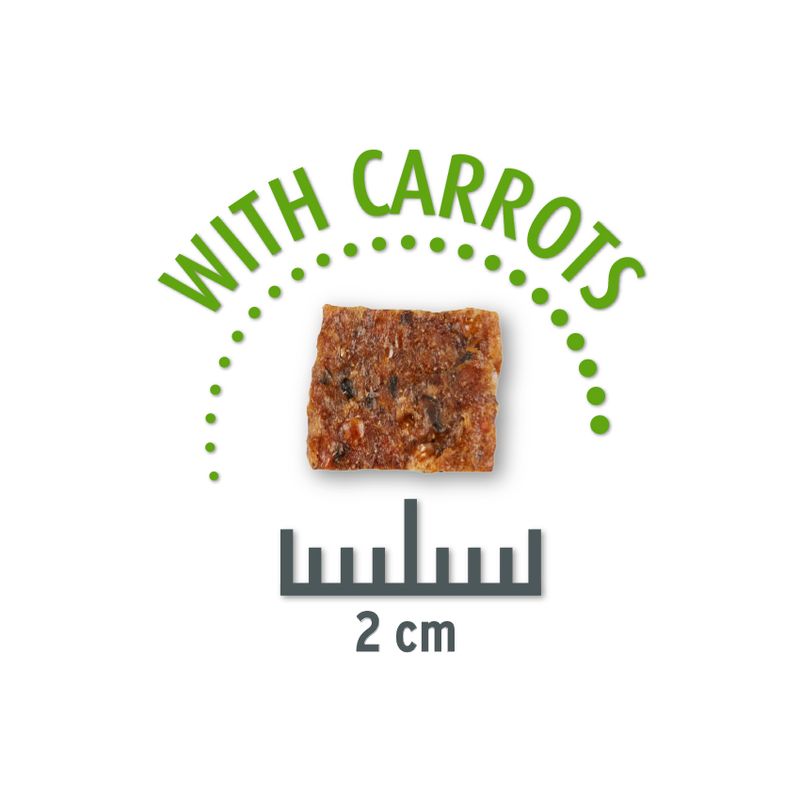 Concept for Life Insect Snack mit Karotte
