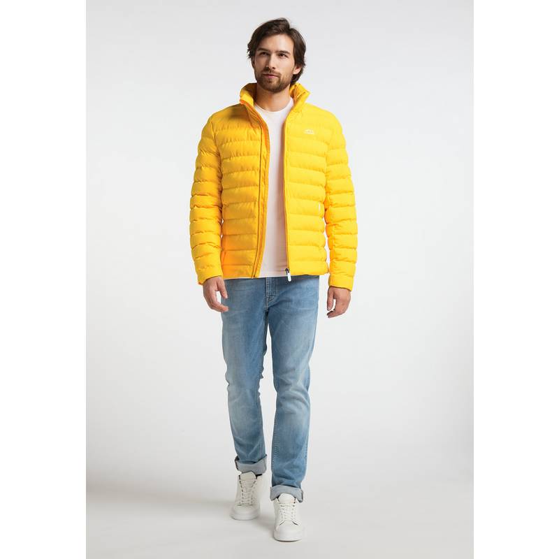 Icebound Winterjacke Herren