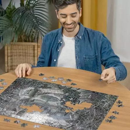 Puzzle 368 Teile - Nachts im Garten