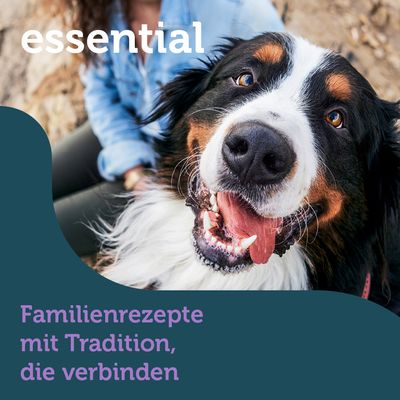 mera essential Brocken