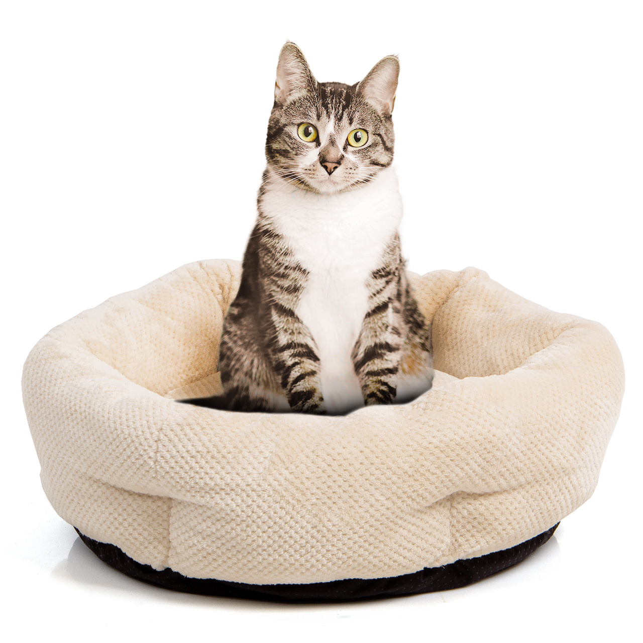 Wallace & Jones Katzenbetten & Katzensofas Wallace & Jones Katzenbett Cloey