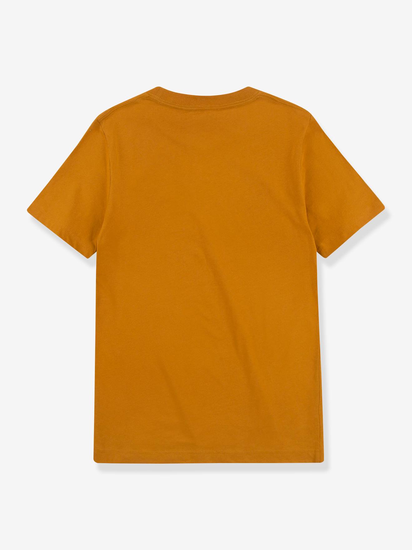 Levis Jungen T-Shirt BATWING Levi's - blau