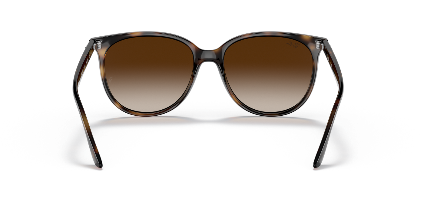 RB4378 - Maro Havana Lucios