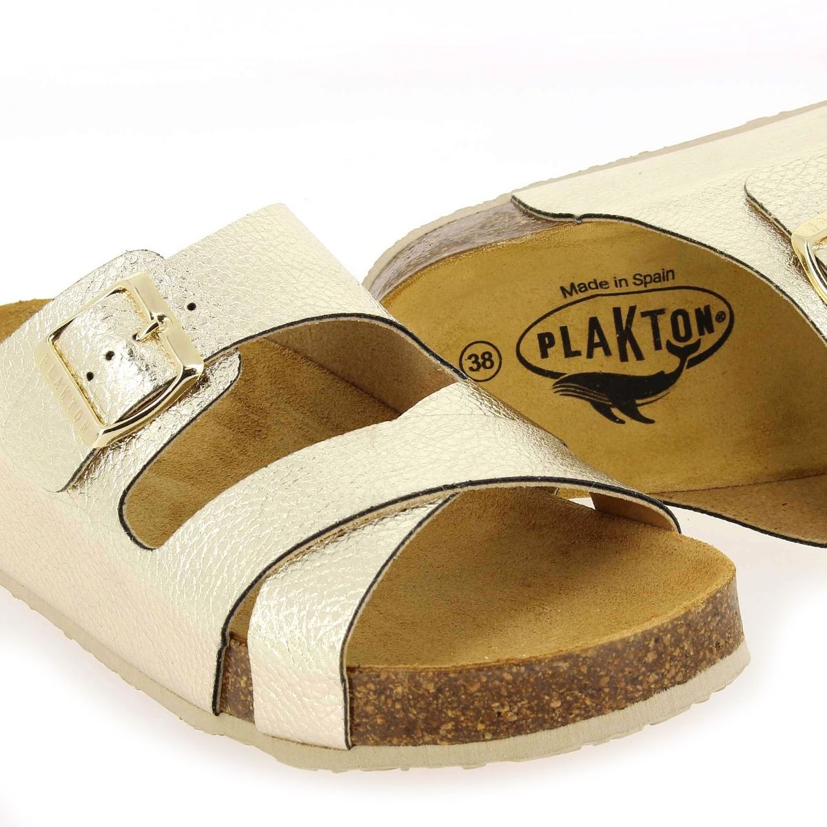 Plakton   CP BOLUDO  - platine