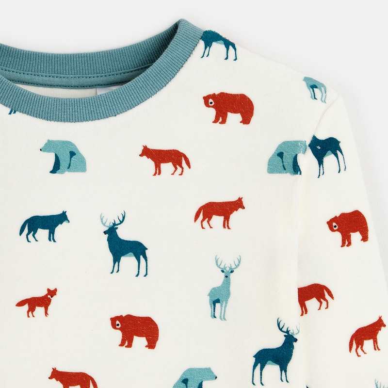 Pyjama 2 pièces en velours imprimé garçon