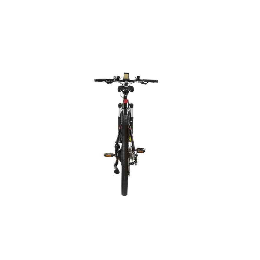 E-Bike Pedelec Anyway E200, von Wayscral - ATU