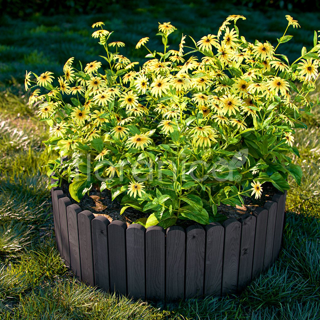 Pemicont Rollborder Flexibler Holzzaun Rolborder Beeteinfassung Rasenkante Gartenzaun