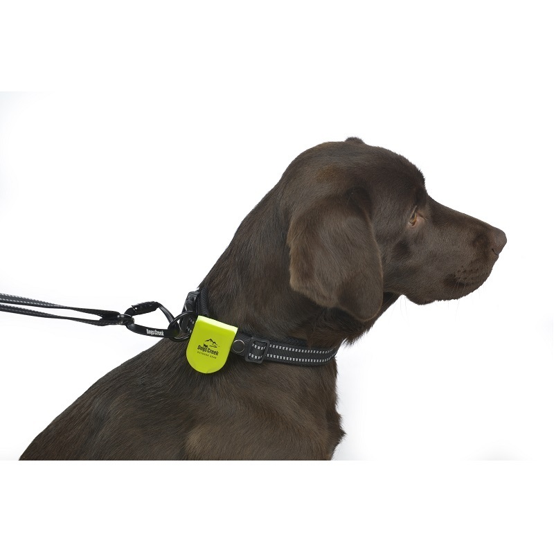 Dogs Creek Sicherheit im Dunkeln Dogs Creek Magnet-Element Merope gelb