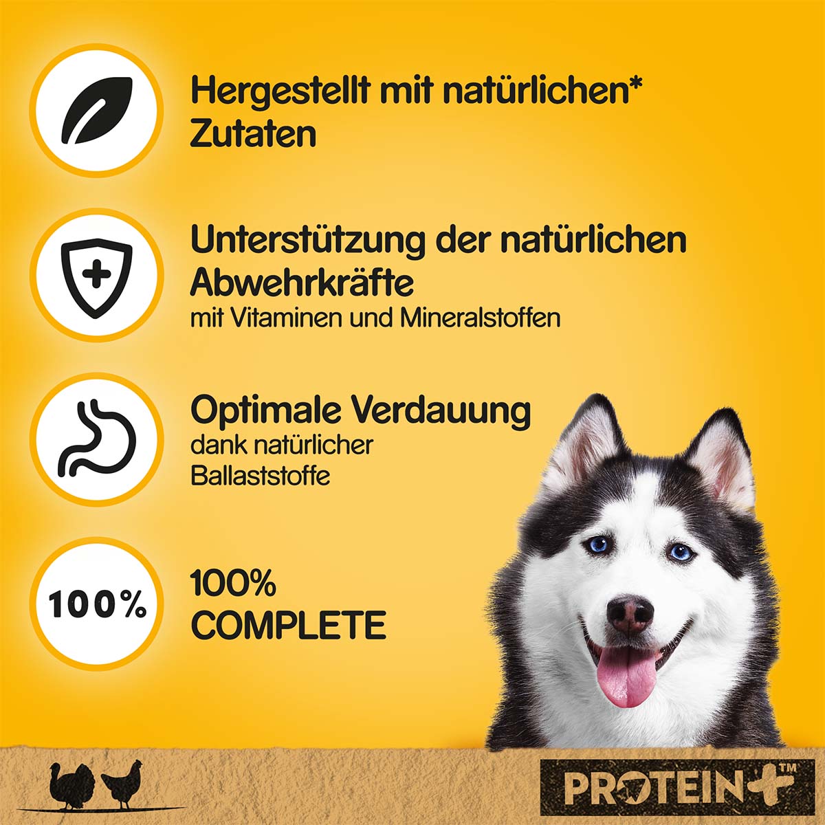 PEDIGREE Protein+ in Pastete Truthahn & Huhn kaufen bei ZooRoyal