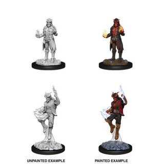 D&D Nolzur's Marvelous Miniatures - Male Tiefling Sorcerer