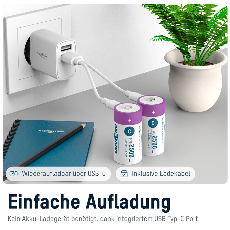 Ansmann Akku Li-Ion 15V C-Cell Typ 2500 &ndash; 2 Stück