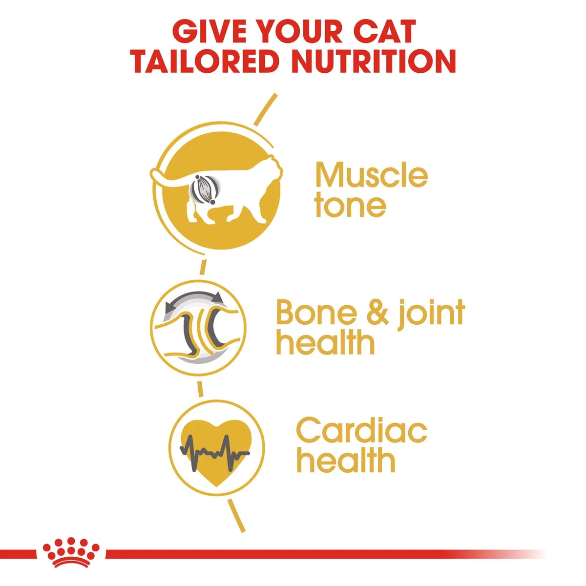 Royal Canin British Shorthair Katzenfutter kaufen