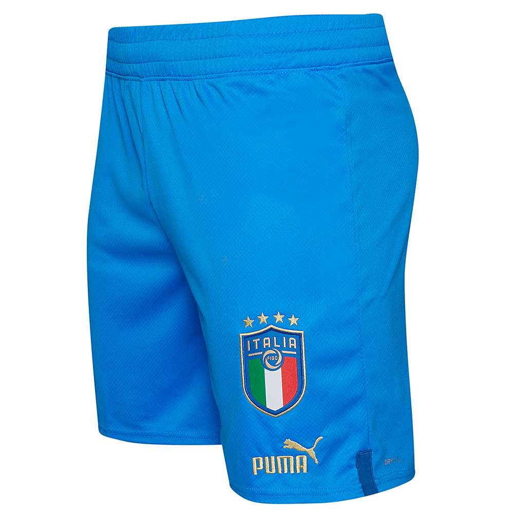 Italien FIGC PUMA Herren Shorts 765668-01