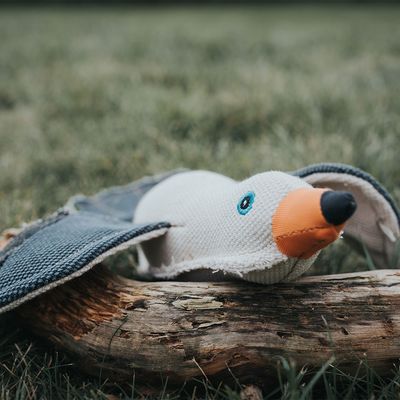 HUNTER Hundespielzeug Canvas Maritime Seagull