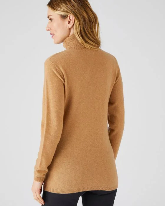Pull col roulé en pur cachemire