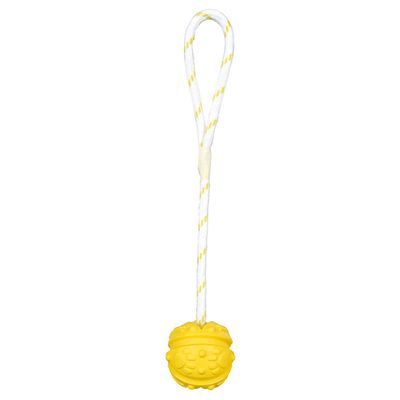 Trixie Aqua Toy Ball am Seil