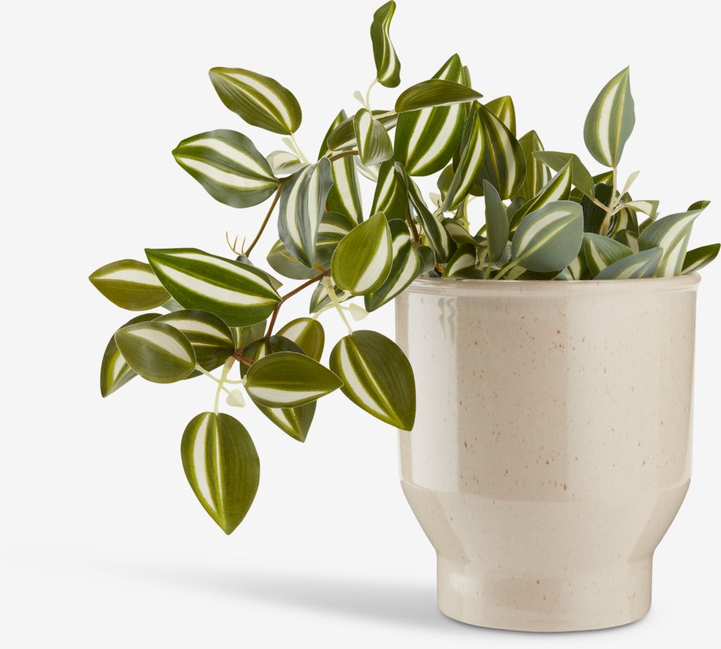 ASGAR Kunstig plante ASGAR H24cm grønn