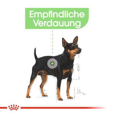 Royal Canin Mini Digestive Care