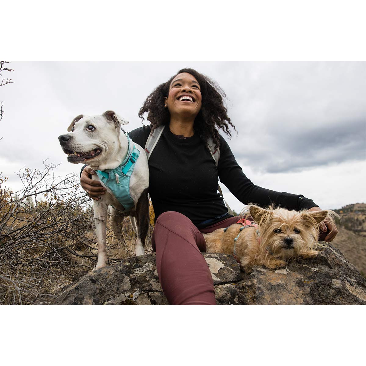 Ruffwear Geschirr Flagline Sage Green günstig kaufen bei ZooRoyal