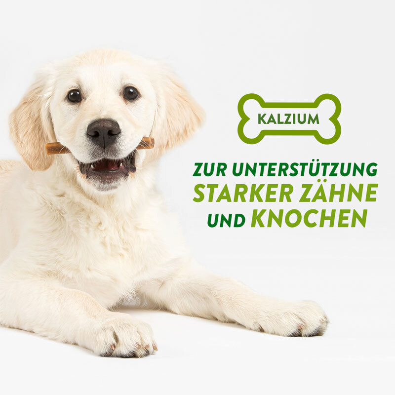 WHIMZEES Snacks WHIMZEES Puppy Zahnpflege für kleine Hunde, 14x