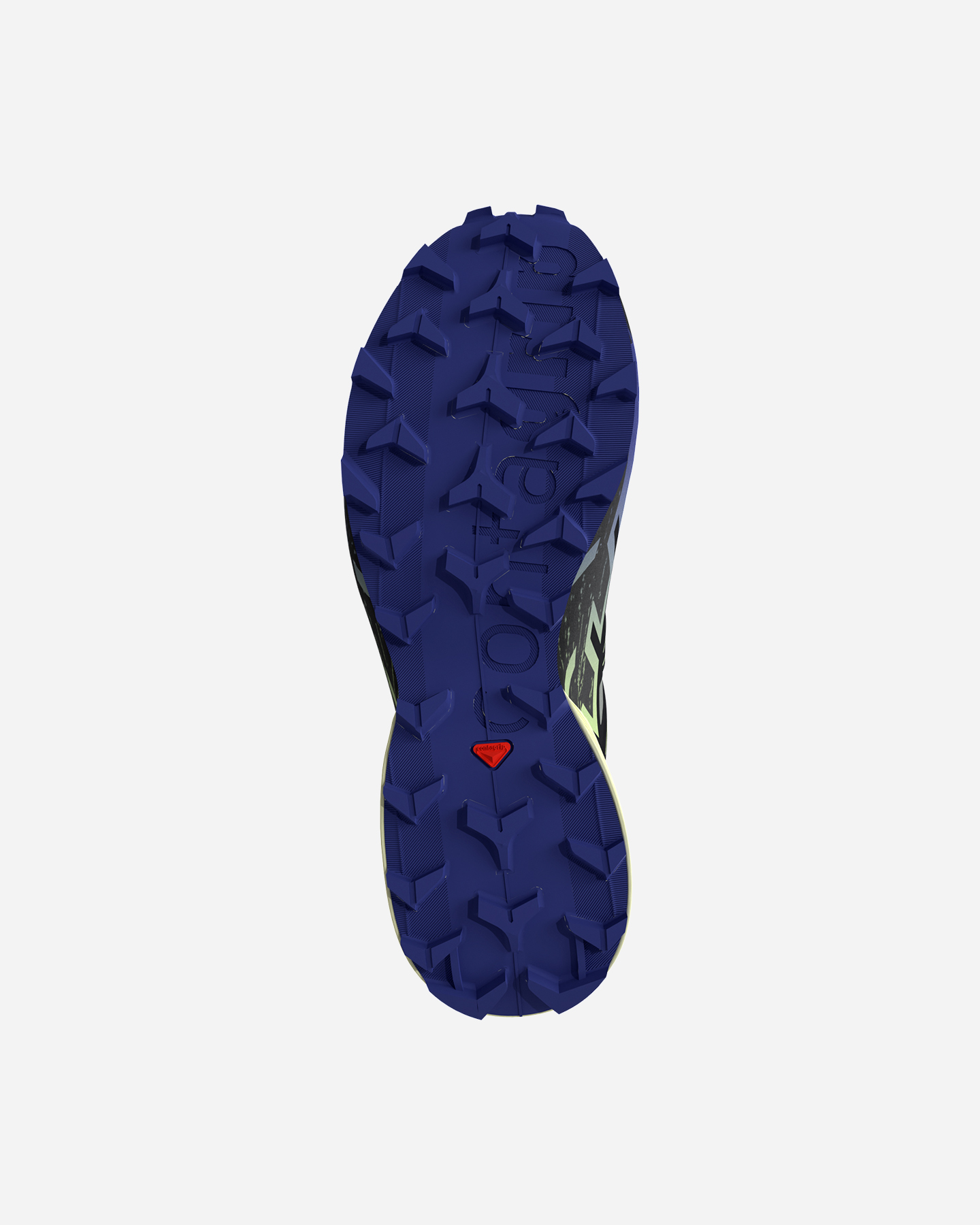 Scarpe Trail Salomon Speedcross 6 Gtx W L47584000