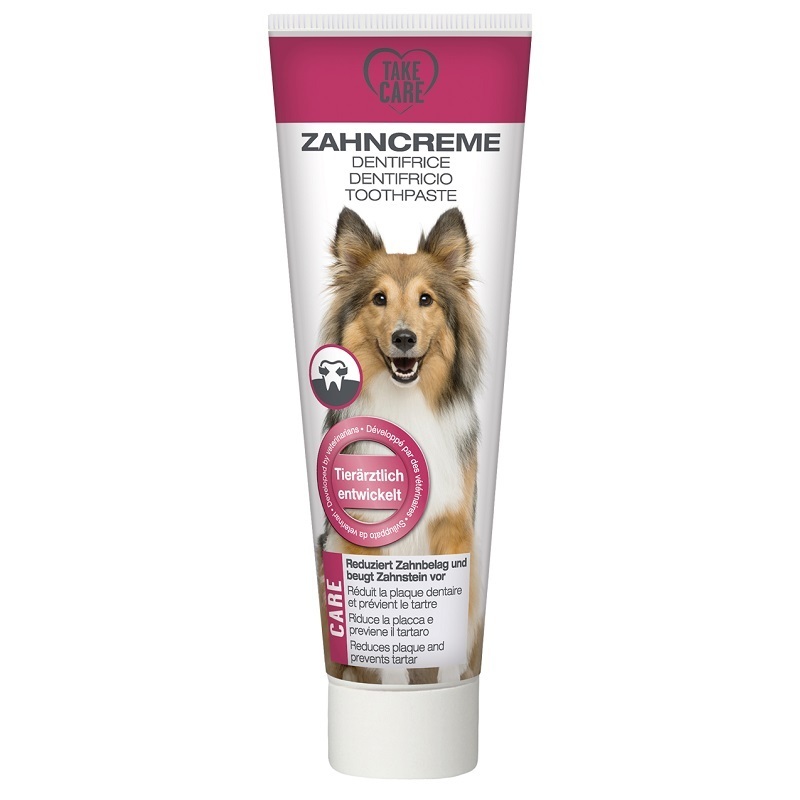 TAKE CARE Zahnpflege TAKE CARE Zahncreme 100ml
