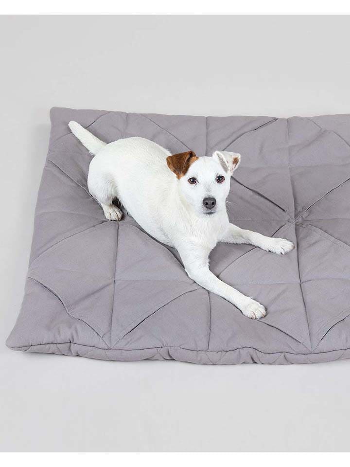 Paikka Hunde-Schnüffelteppich in Grau günstig kaufen 76x76 cm