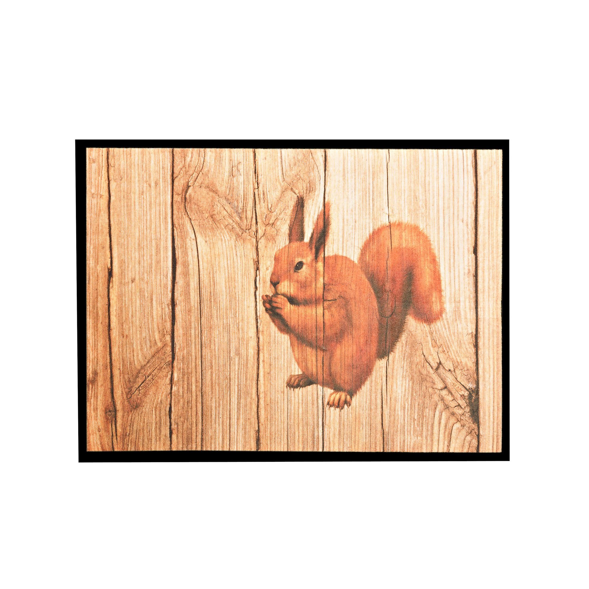 Tapis anti-poussière motif écureuil